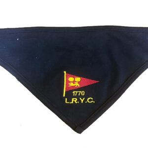 Baby Bandana Bandana Bib
